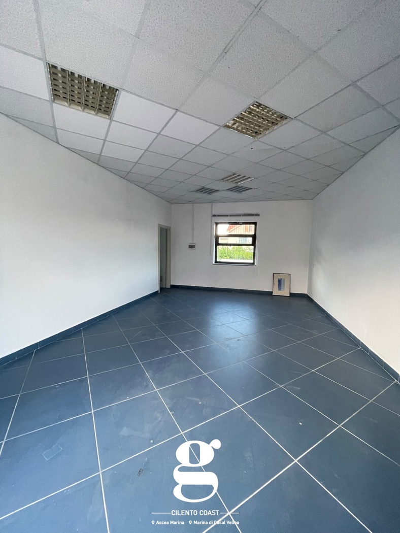 Negozio in affitto a Casal Velino