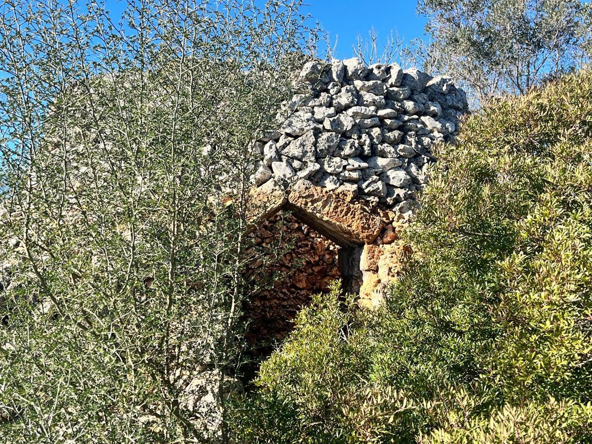 Terreno Agricolo in vendita a Manduria