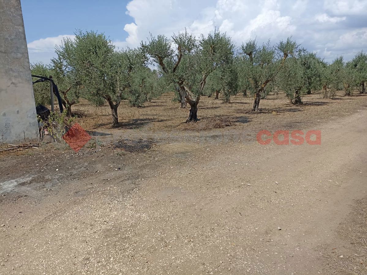 Terreno Agricolo in vendita a Maruggio