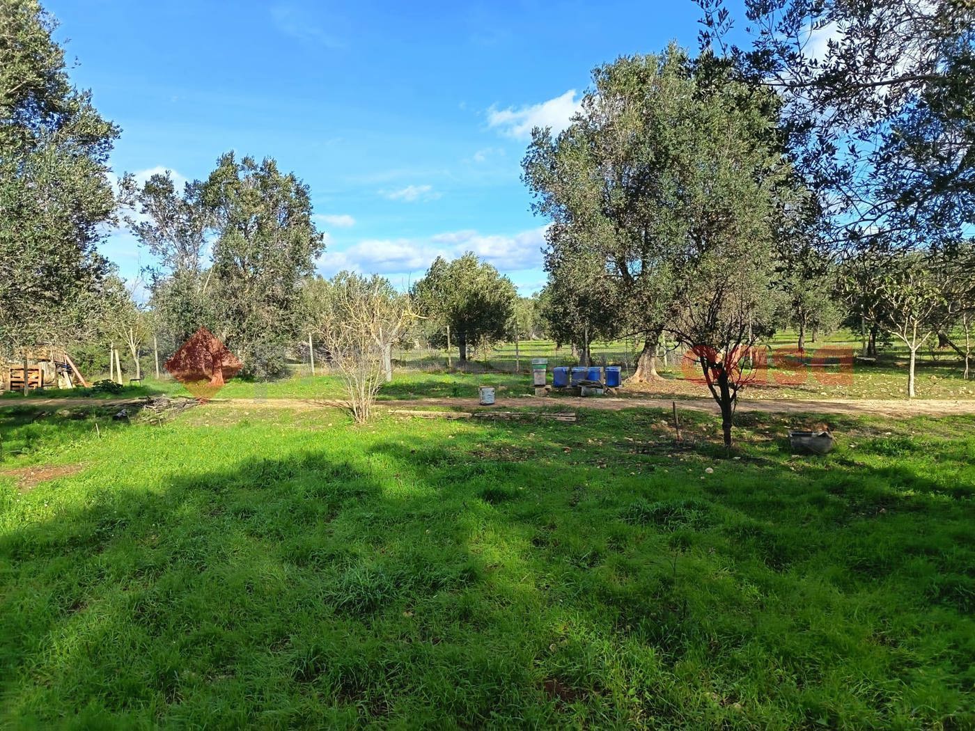Terreno Edificabile in vendita a Lizzano