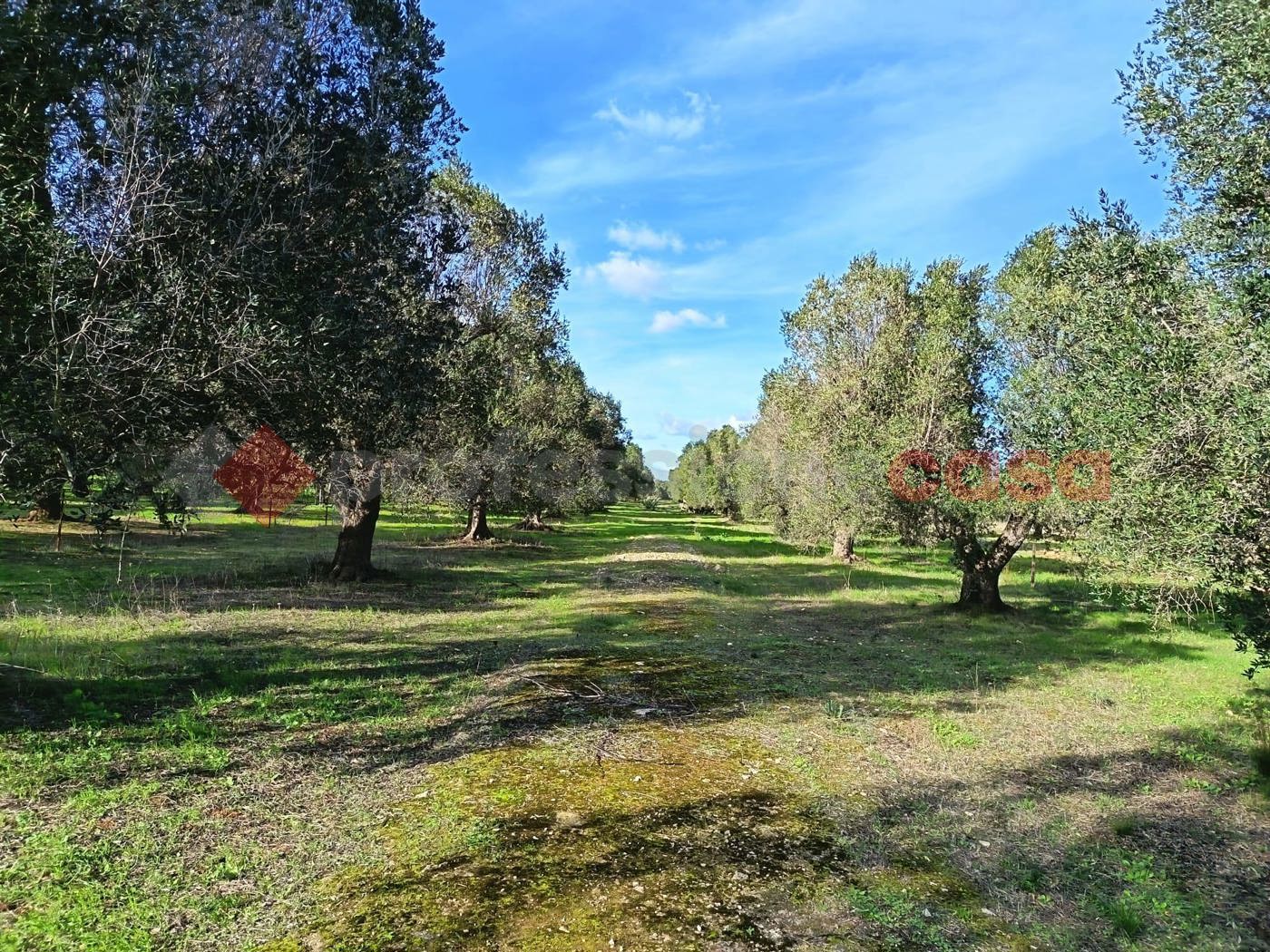 Terreno Edificabile in vendita a Lizzano