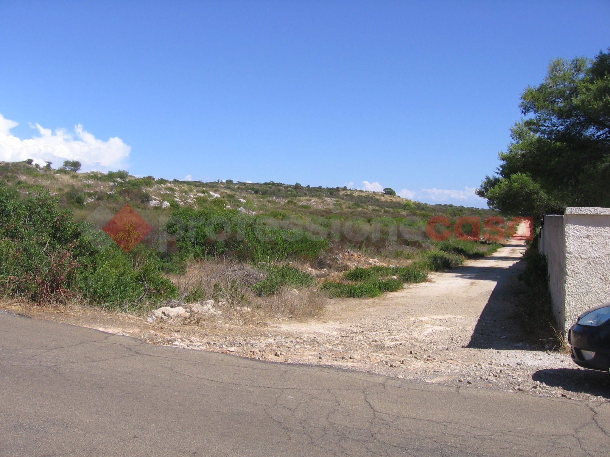 Terreno Agricolo vista mare a Manduria
