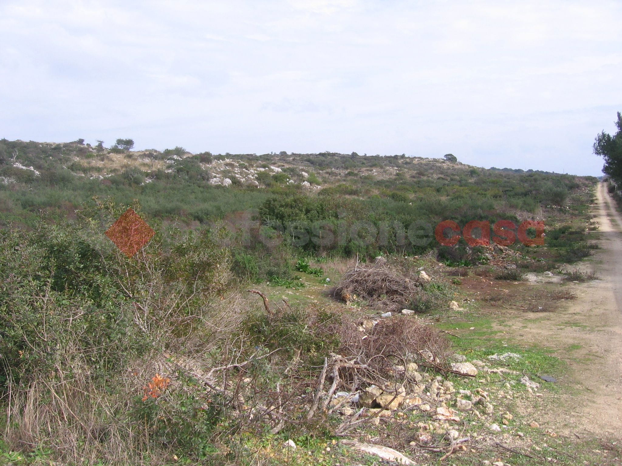 Terreno Agricolo vista mare a Manduria