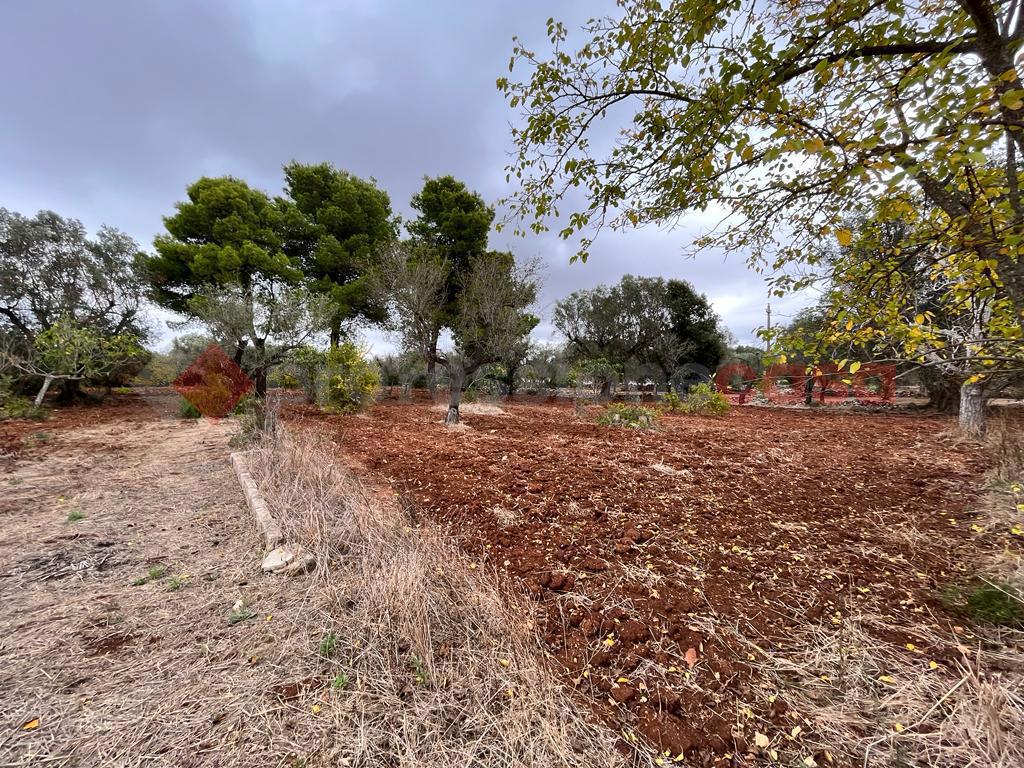 Rustico con giardino a Manduria