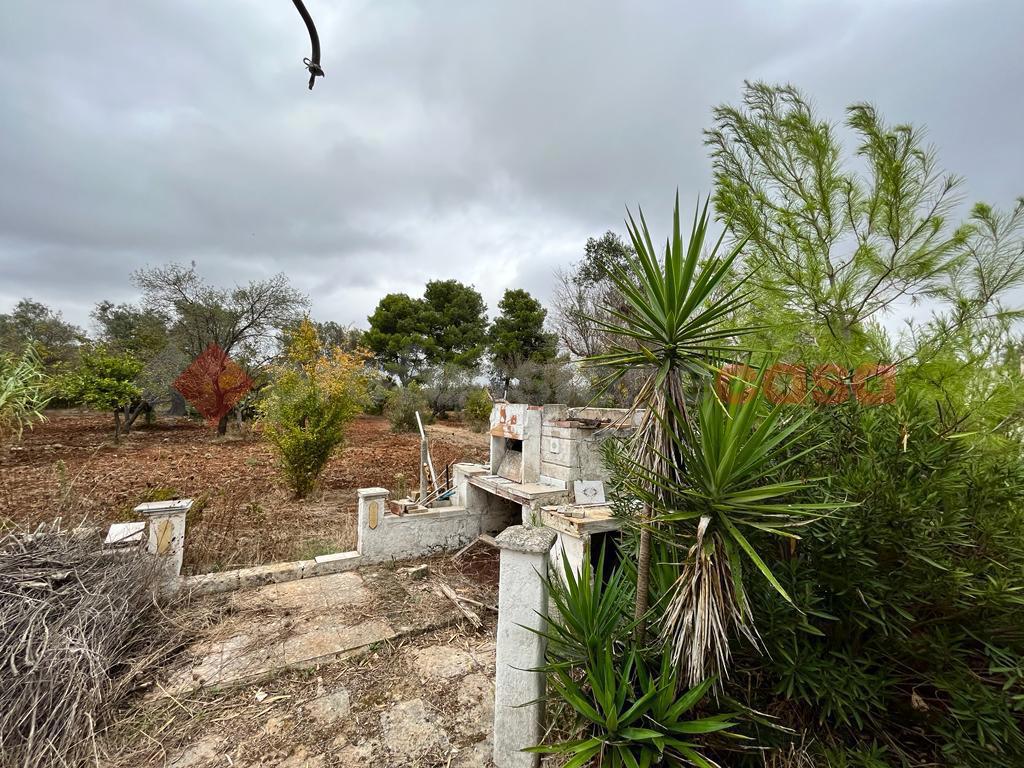Rustico con giardino a Manduria