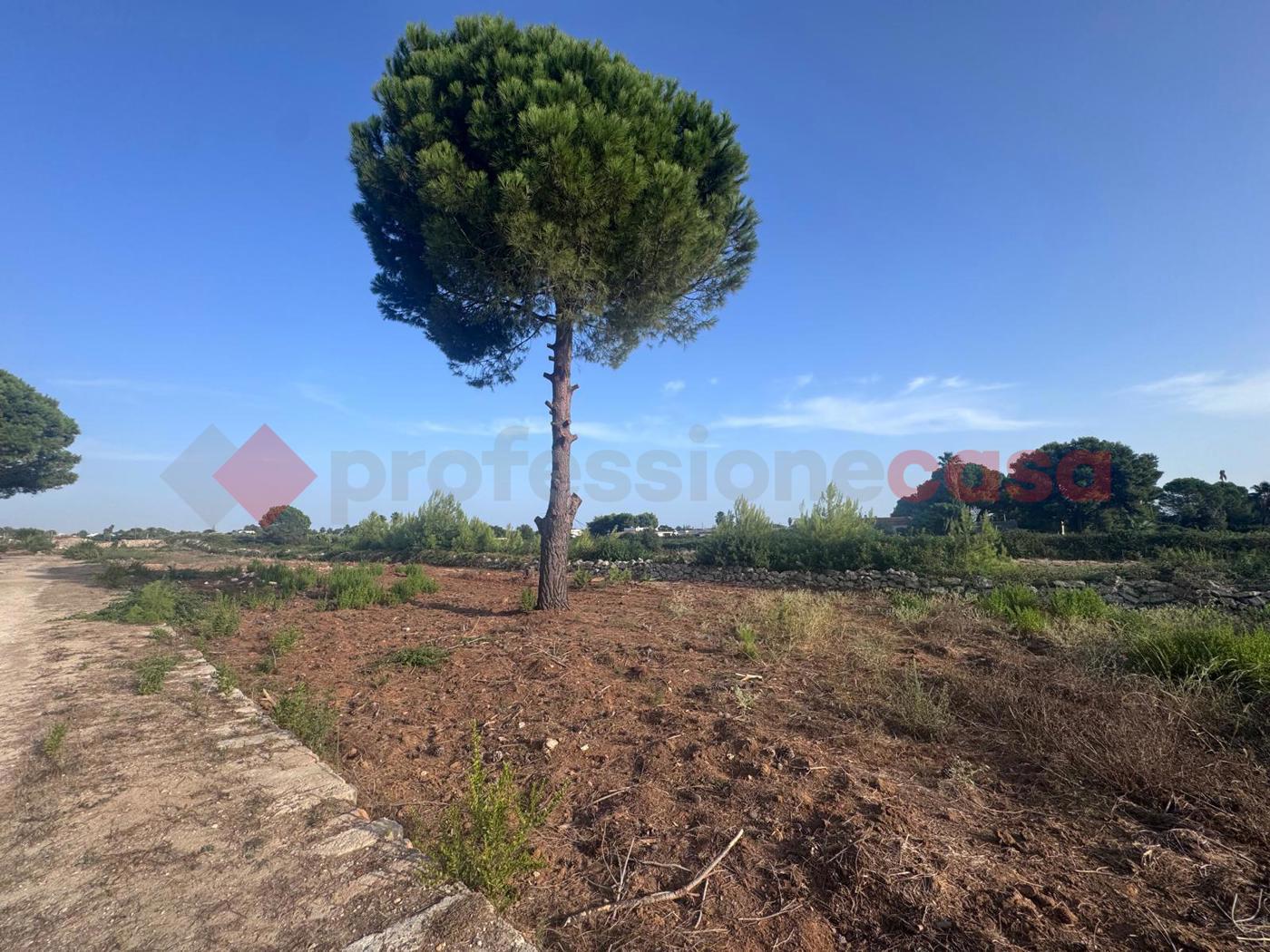 Terreno Edificabile in vendita a Manduria