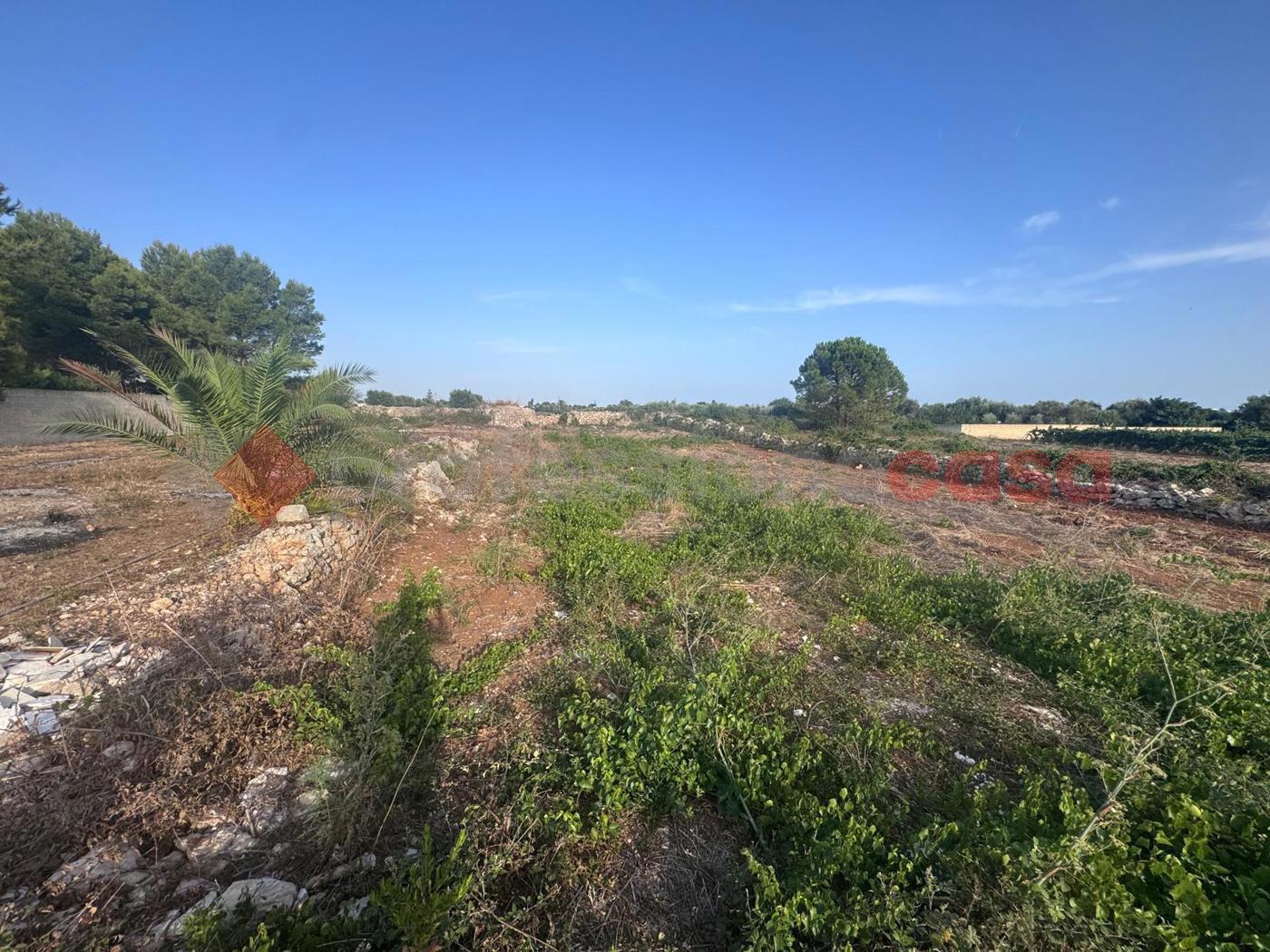 Terreno Edificabile in vendita a Manduria