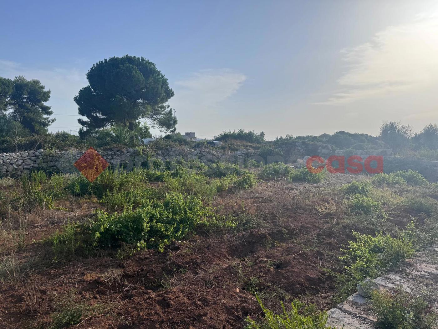 Terreno Edificabile in vendita a Manduria